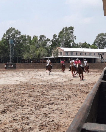 Arena Polo: quickness and intensity