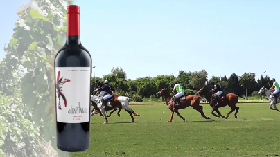 Argentina Polo Day: Polo, asado and wine