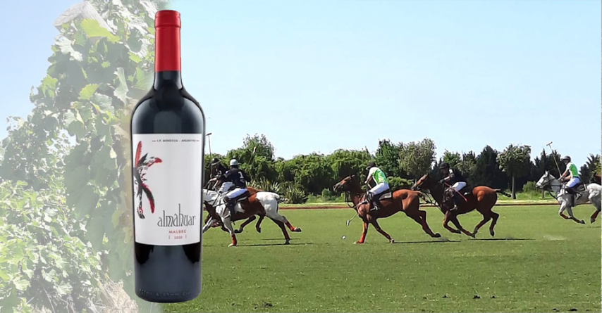 Argentina Polo Day: Polo, asado and wine