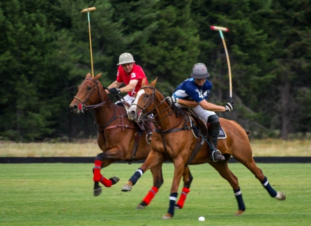 Equipamiento adecuado para un Partido de Polo