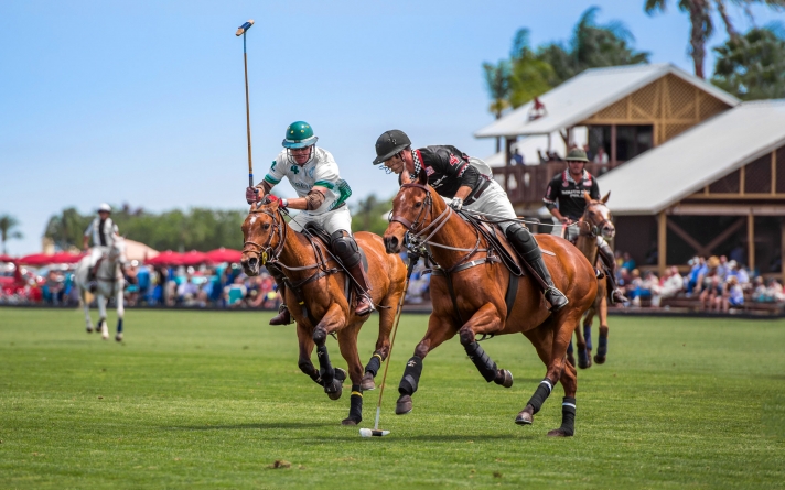 Polo Rules and History: How Polo is Played