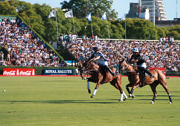 Where Polo is: THERE IS A TEAM! | Argentina Polo Day