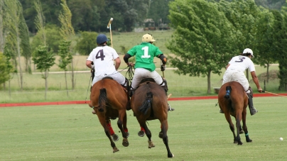 The Role of Referees in Polo Sport