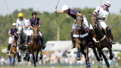 Taming of a Polo Horse: The Process
