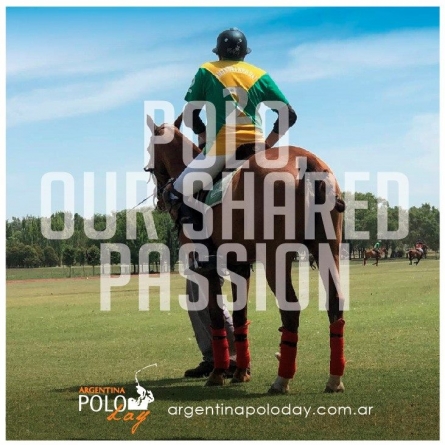 Polo our shared Passion | From a Dream to Reality