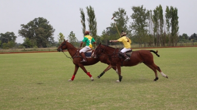 Polo Match: The Basic Guide To Understand