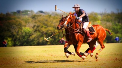 Some Basics Polo Rules | The More You Know
