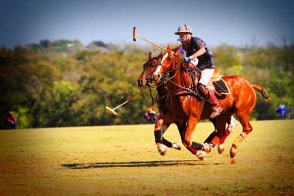 Some Basics Polo Rules | The More You Know