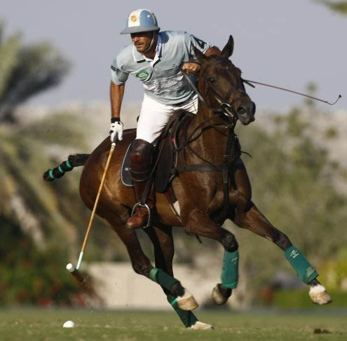 caballo de polo