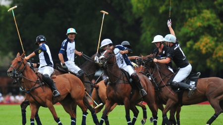 Polo Tournaments and Polo Day All Year Long!