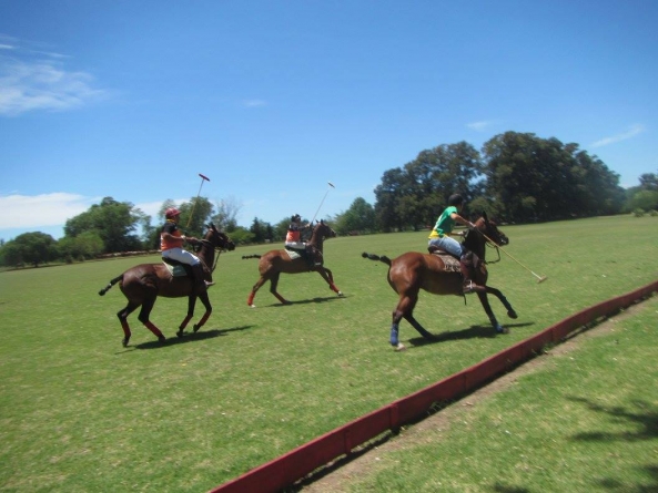 New Year Begins… Play Polo Today! | Argentina Polo Day