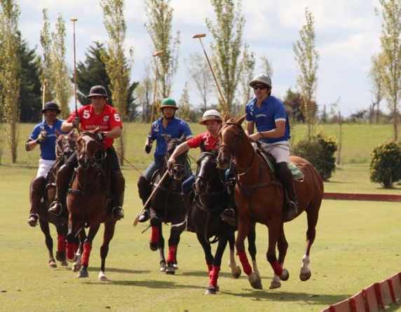 Polo Curiosities | Argentina Polo Day