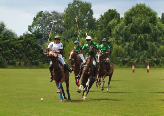 POLO GAME IN ARGENTINA, WHAT YOU NEED FOR PLAY