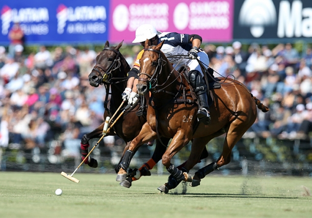 Características Básicas del Polo | Argentina Polo Day