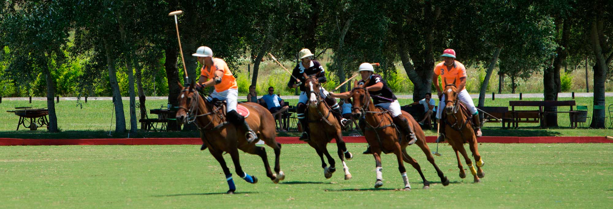 Half Polo Day