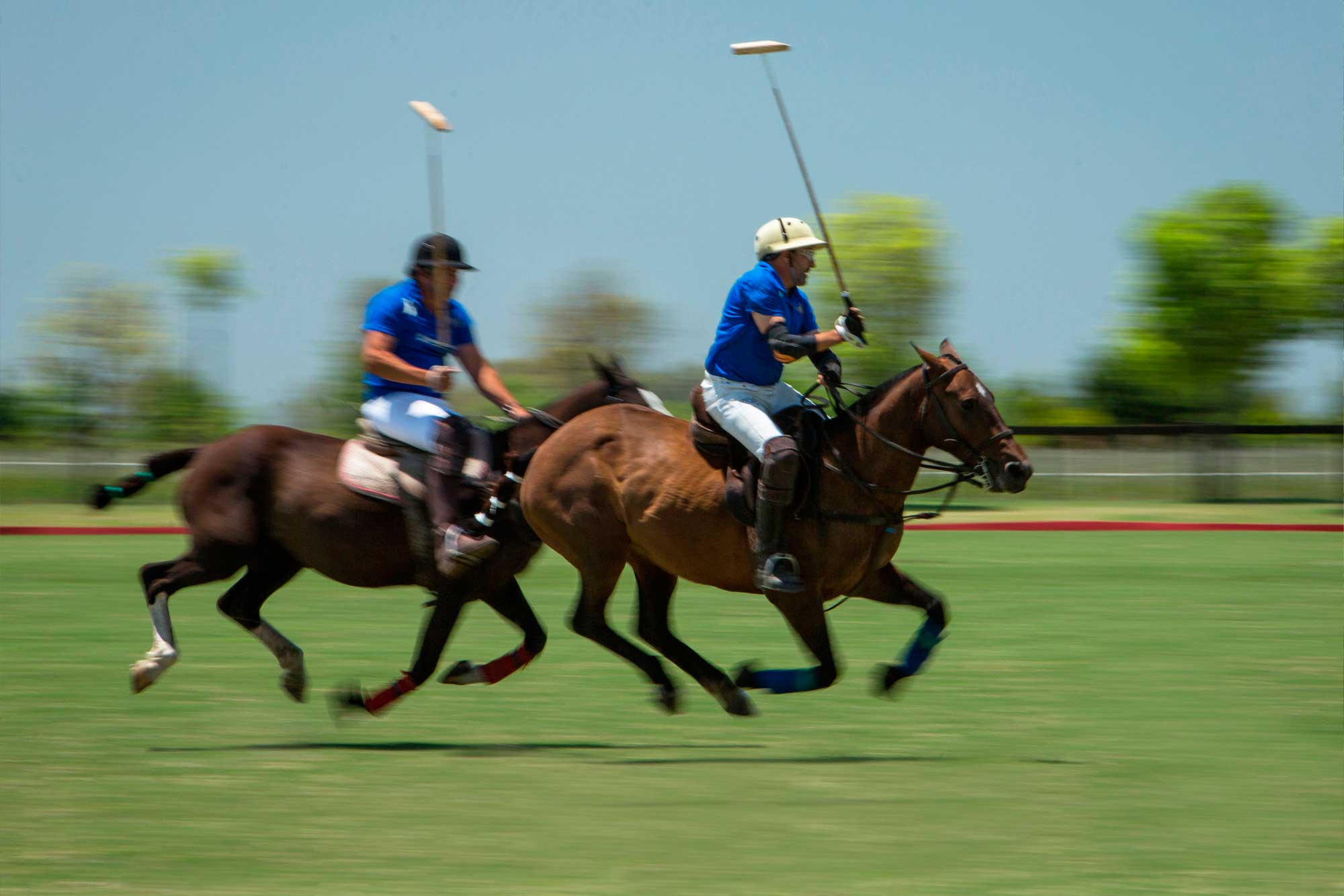 Full Polo Day