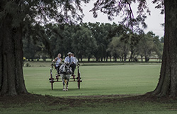 argentina-polo-day-group