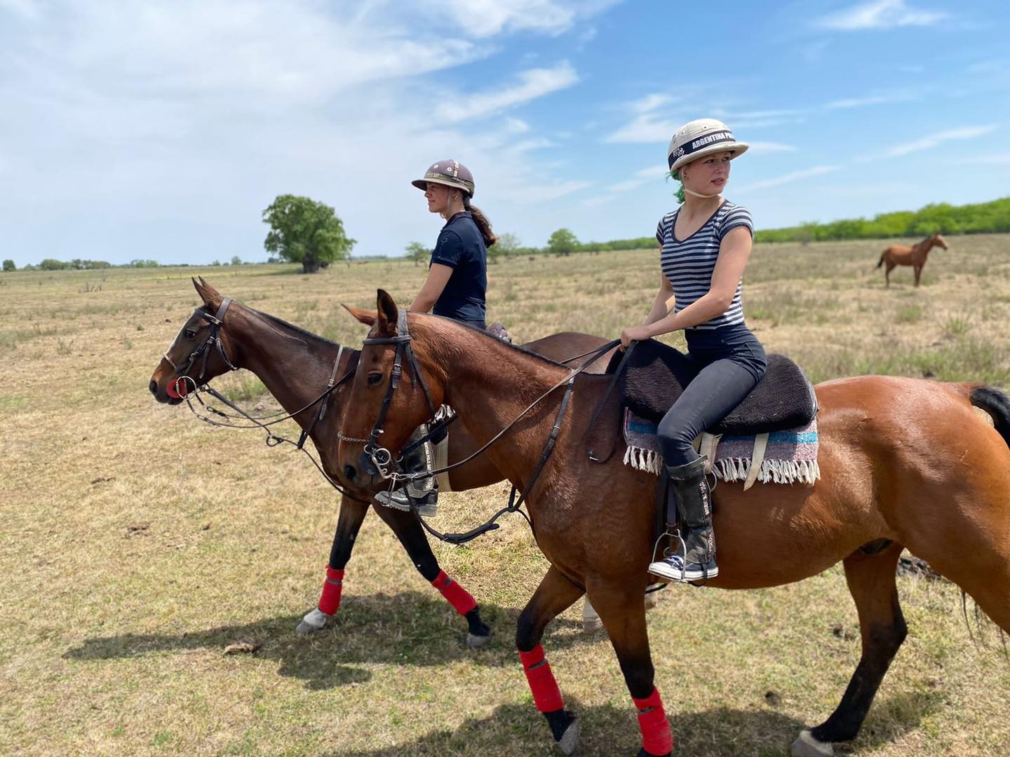Play polo in Argentina, all year round!
