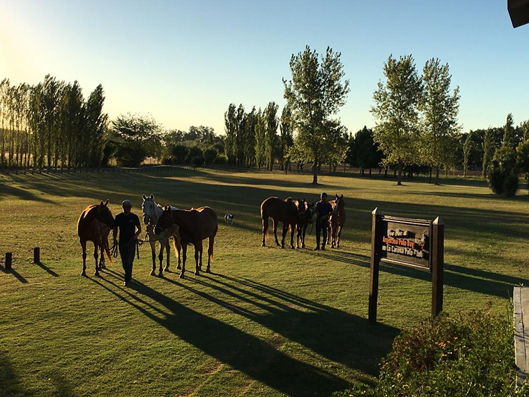 France is the first World Champion of Arena Polo, held in Argentina